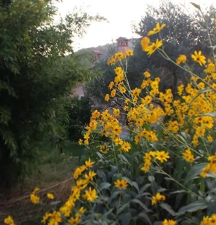 Olivella Mezzane di Sotto