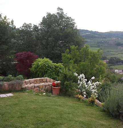 Olivella Mezzane di Sotto